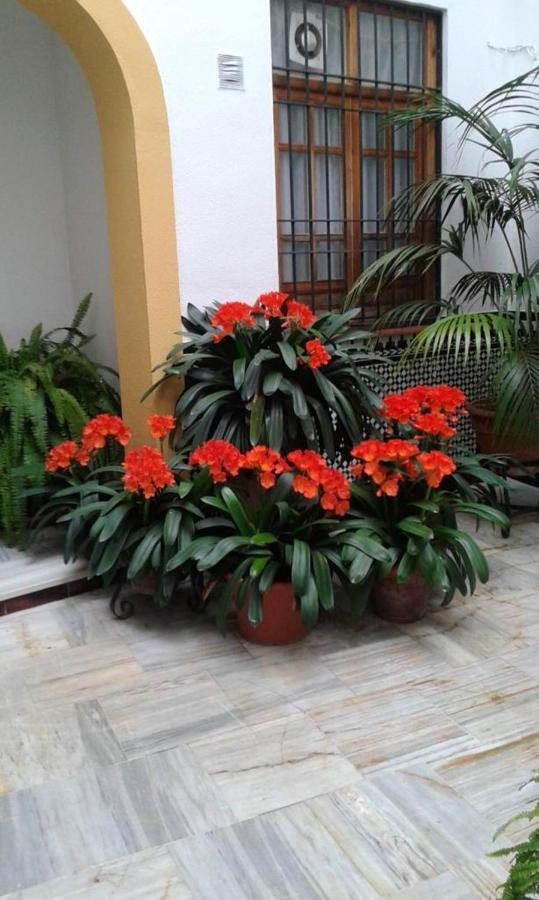 Comfortable In 42 M² Parking Apartamento